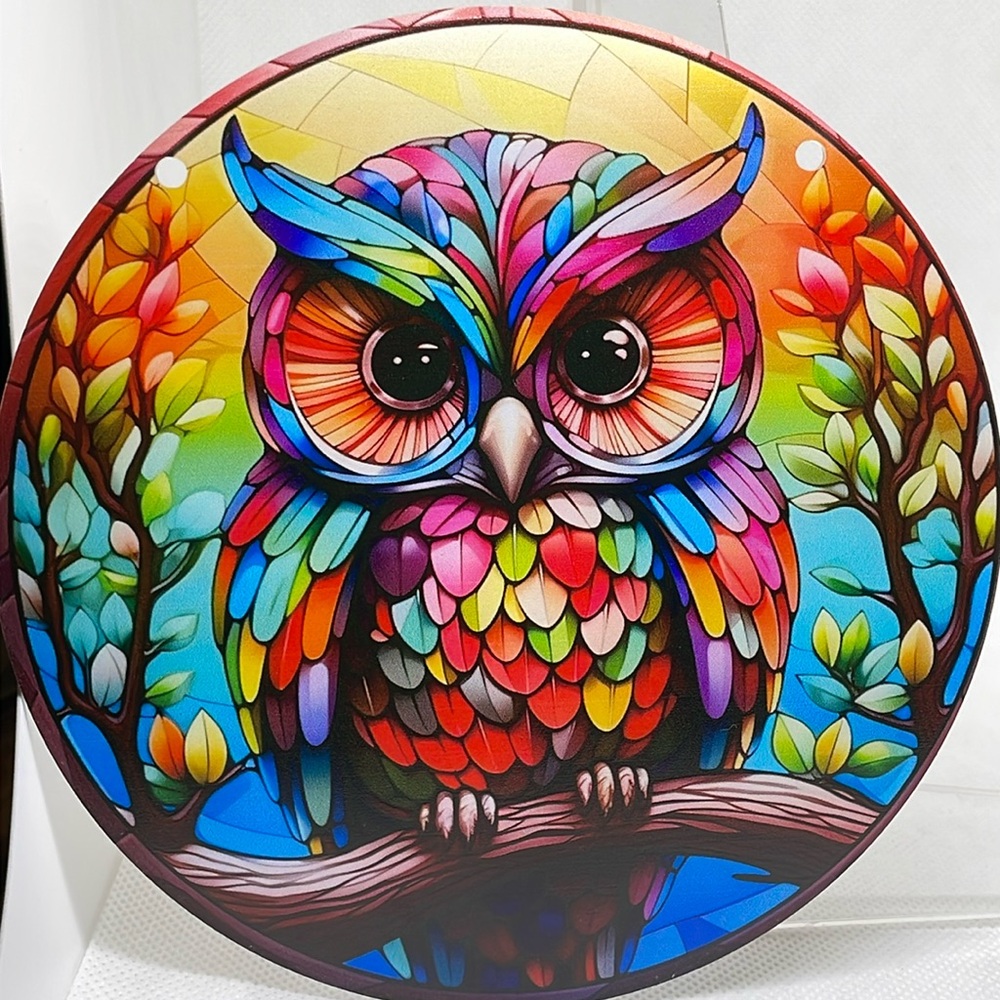 Suncatcher Acrylic Round Colourful Owl Bird Wildlife Decor Faux Stained Glass